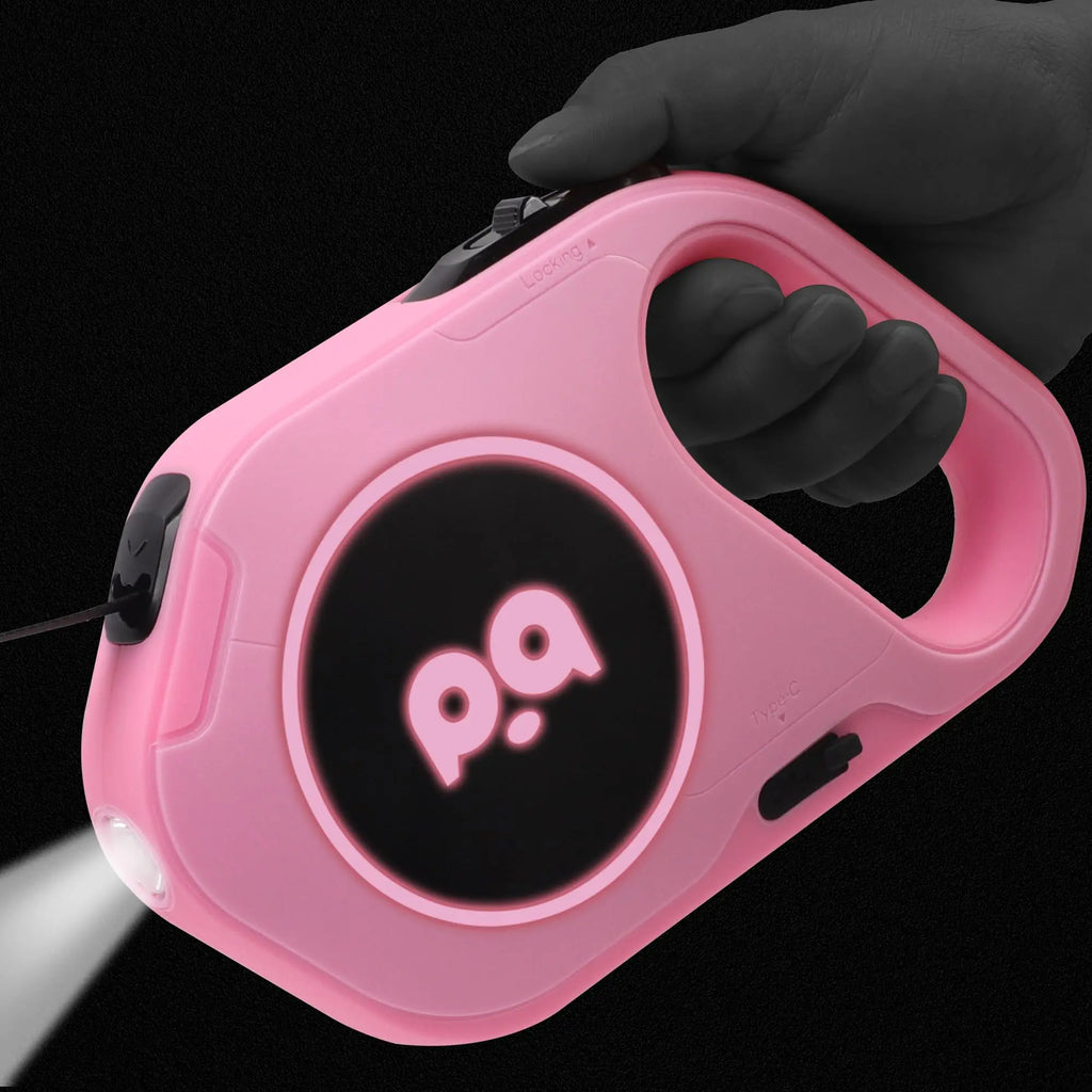 LED Retractable Dog Leash