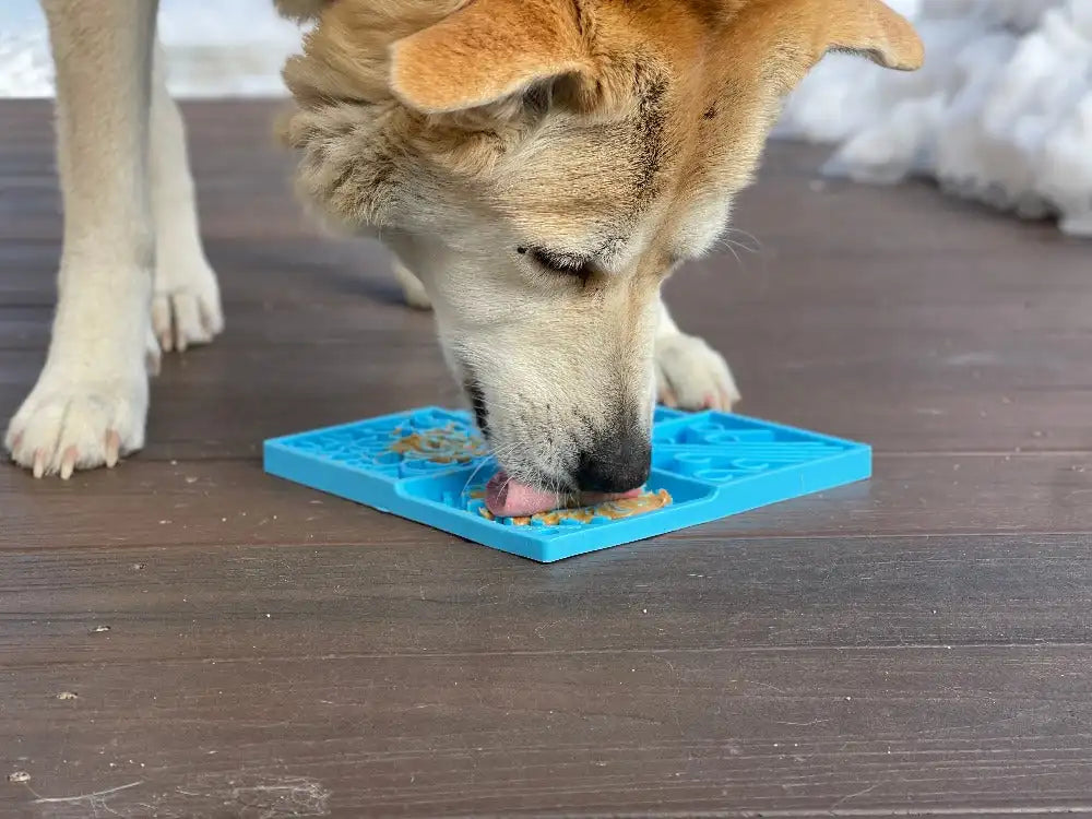 Premium Star Lick Mat